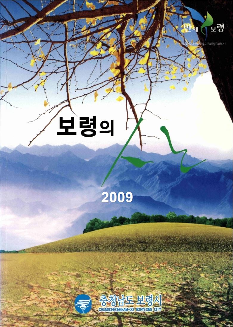 보령의 산(2009)